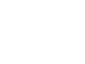 logotype